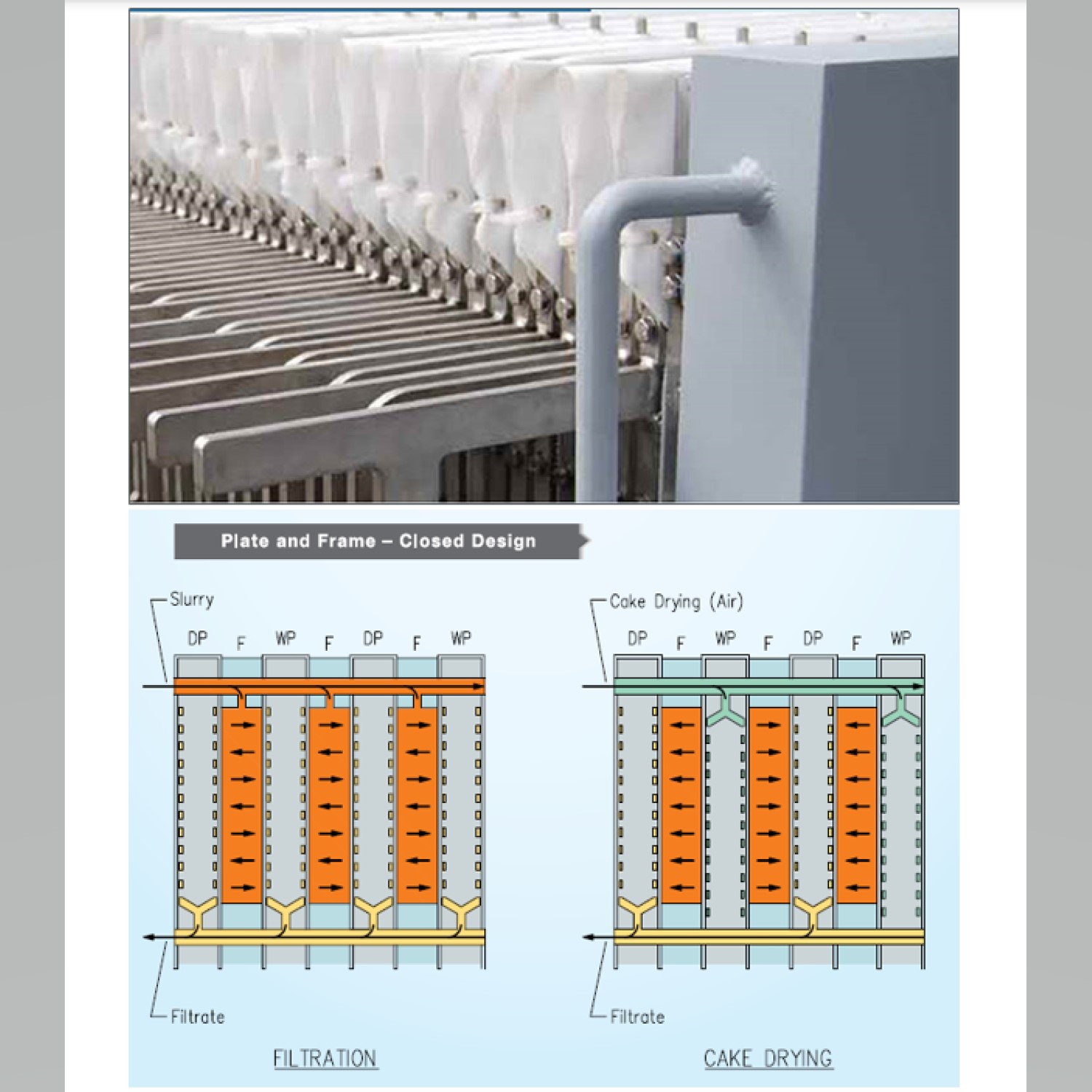 Plate and frame filter press