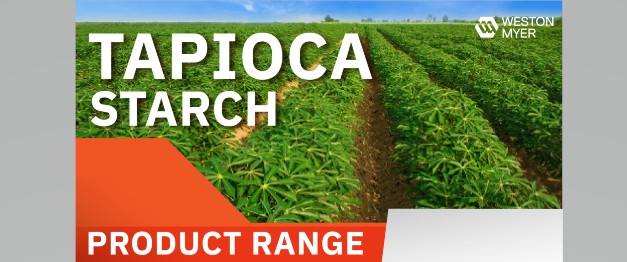 Tapioca Starch Industry